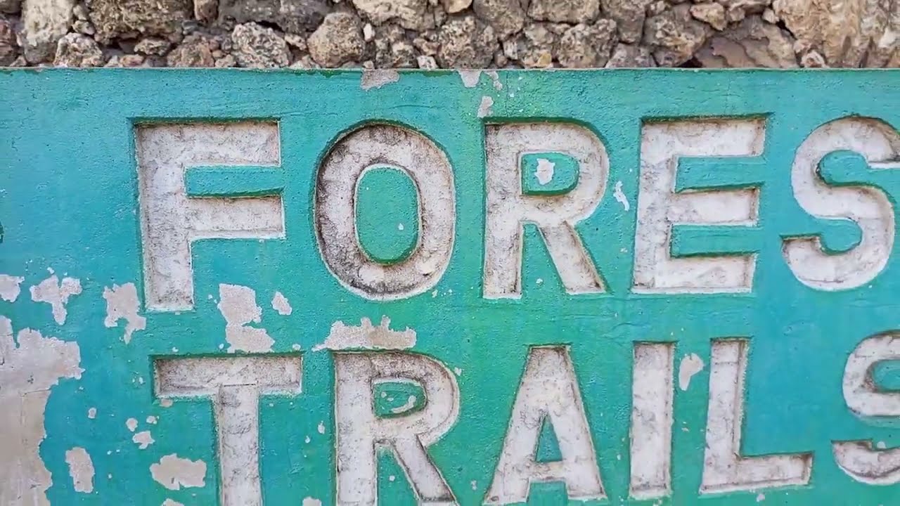 Butterfly Pavilion (Bamburi Forest Trails) || Things To Do In Mombasa