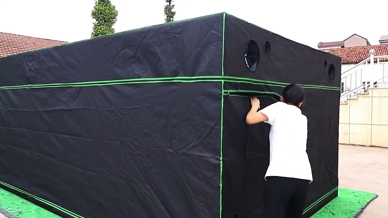 BIG basement grow tent 🧐🧐 Easily set up