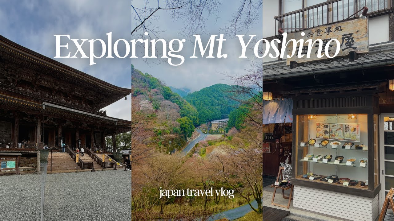 Japan Vlog 🇯🇵 yoshino day trip, nara's hidden gem, cable car, cherry blossom views, mountain hike ⛰️