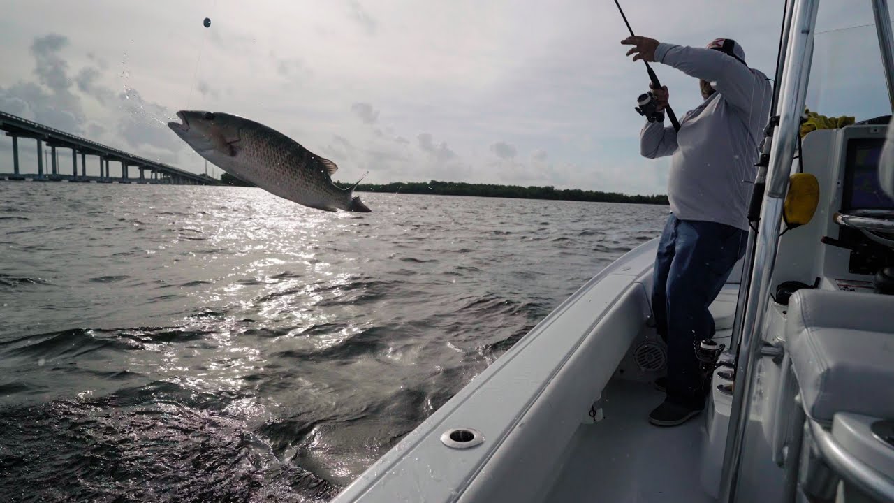 Mangrove snapper CLINIC by Captain Chris Hanson in Key Largo [TFG S4E10]