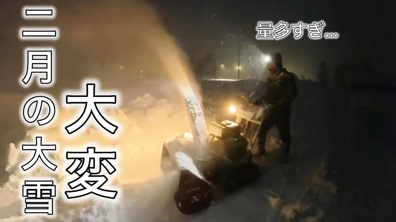 【除雪⑧】2月になって大雪😭