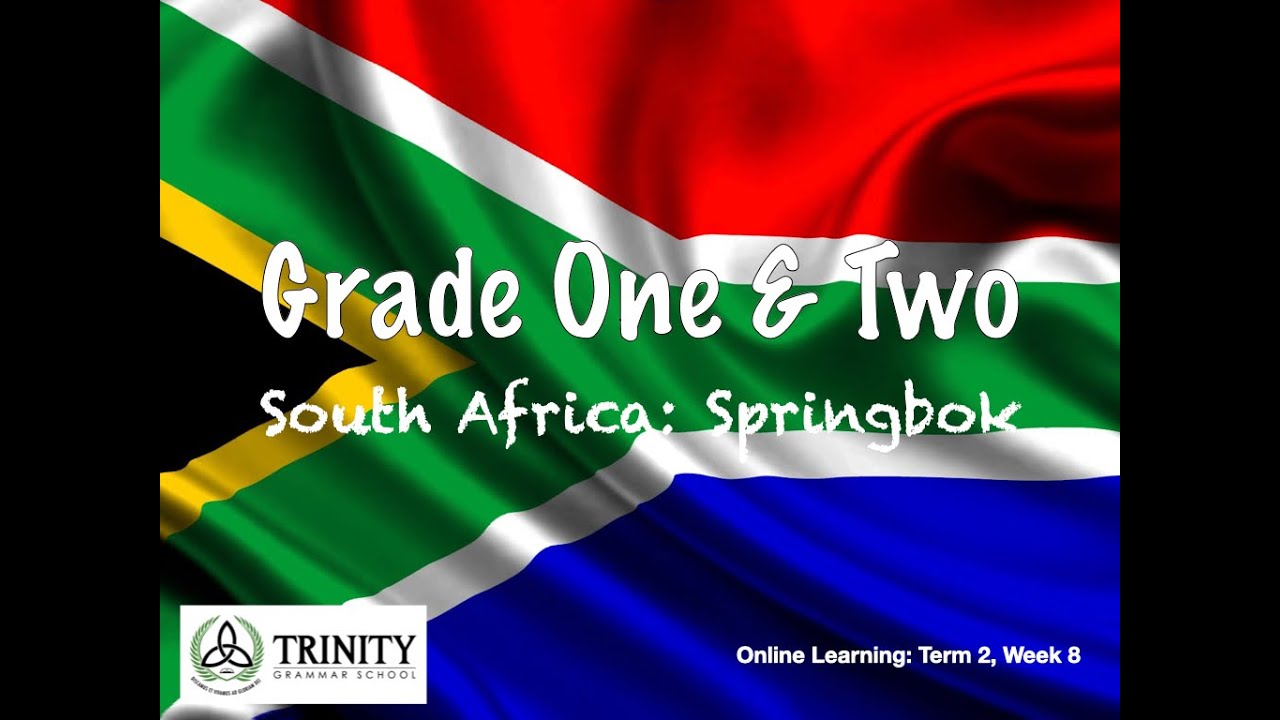 South Africa: Springbok