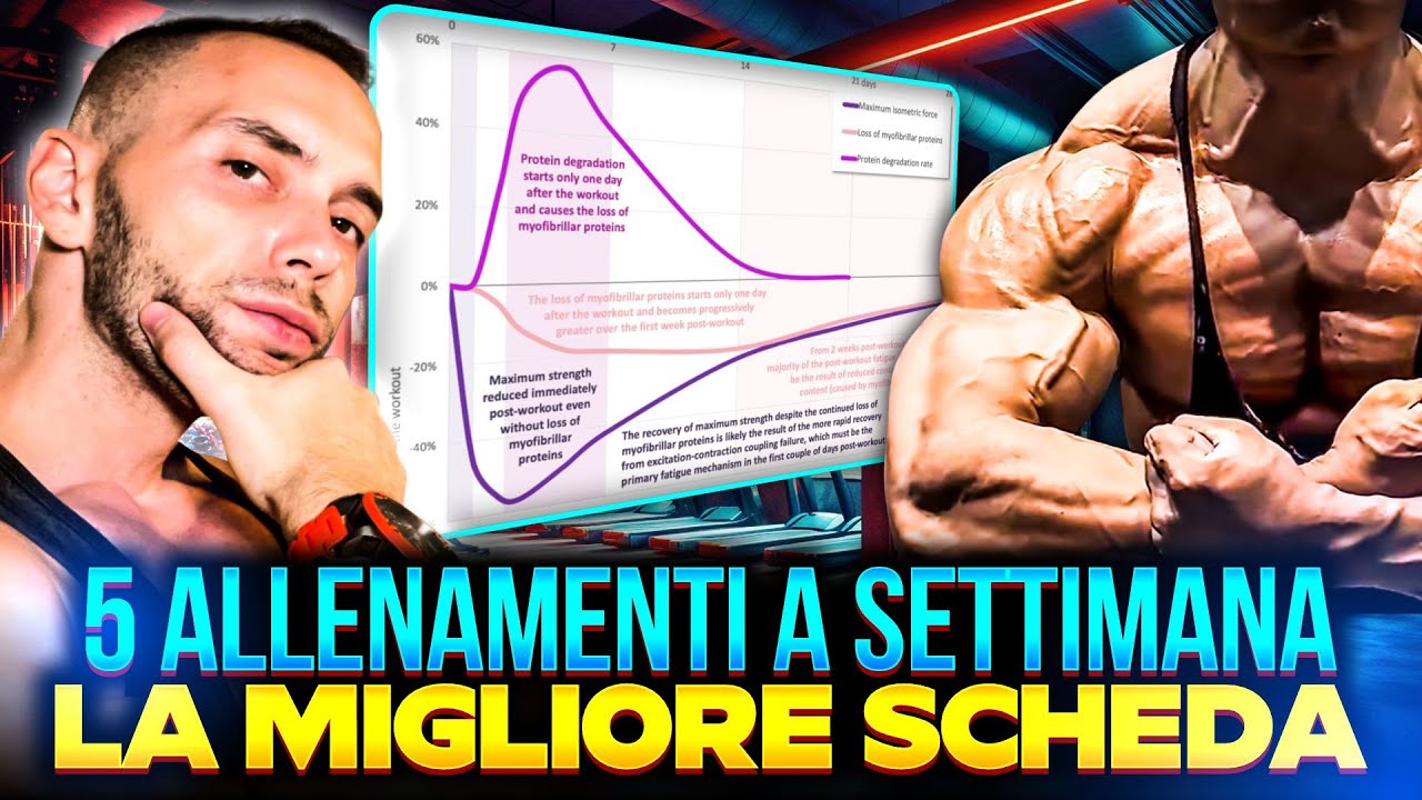 DIVENTARE ENORME con 5 ALLENAMENTI a Settimana 👉🏻la MIGLIORE SCHEDA per la MASSA