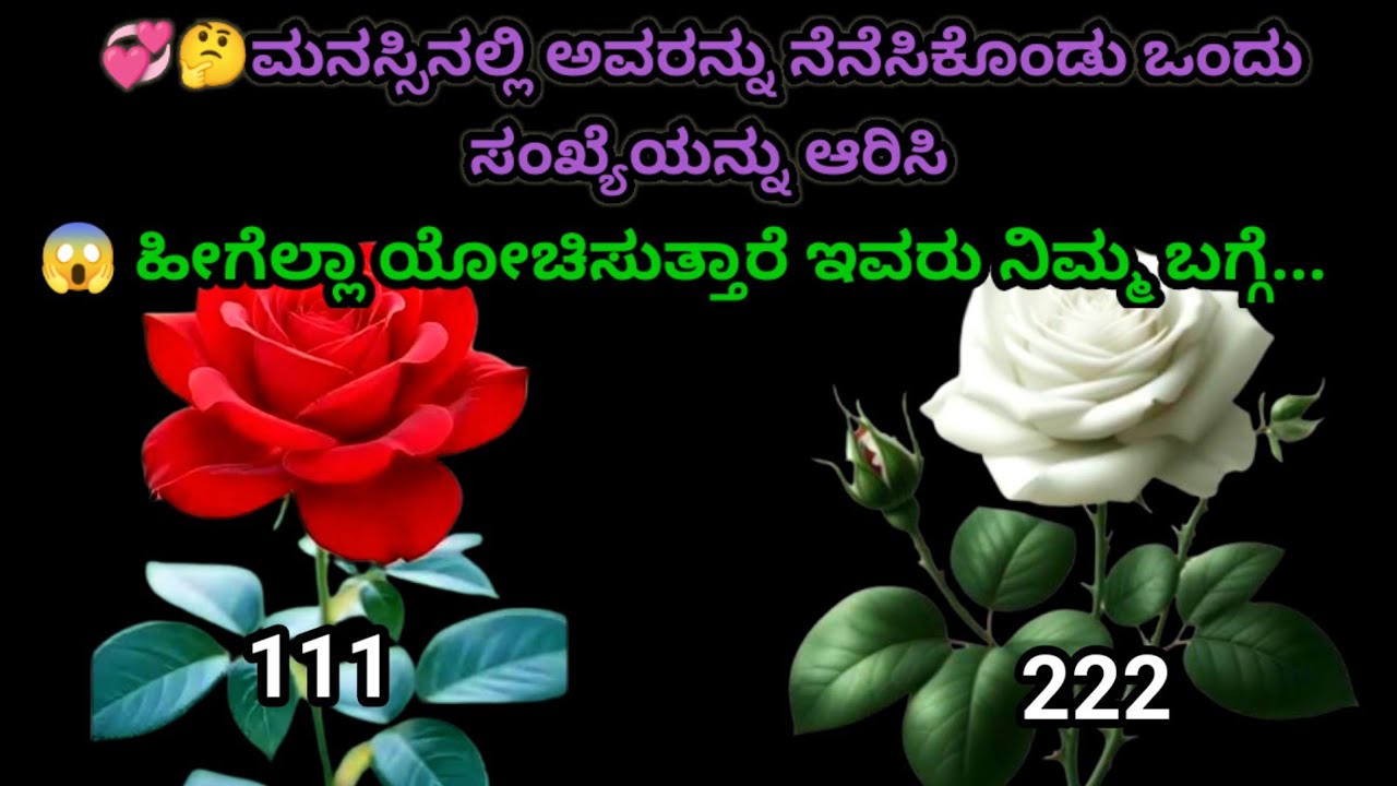 💞🤔ಮನಸ್ಸಿನಲ್ಲಿ ಅವರನ್ನು ನೆನೆಸಿಕೊಂಡು ಒಂದು ಸಂಖ್ಯೆಯನ್ನು ಆರಿಸಿಅವರಿಗೆ ನಿಮ್ಮ ಬಗ್ಗೆ ಯಾವ ಭಾವನೆ ಇದೆ ಎಂದು ನೋಡೋಣ?