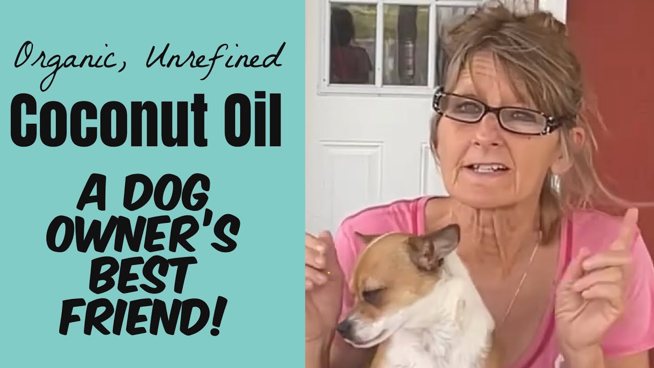 5 Great Ways to Use Coconut Oil on Dogs and Puppies