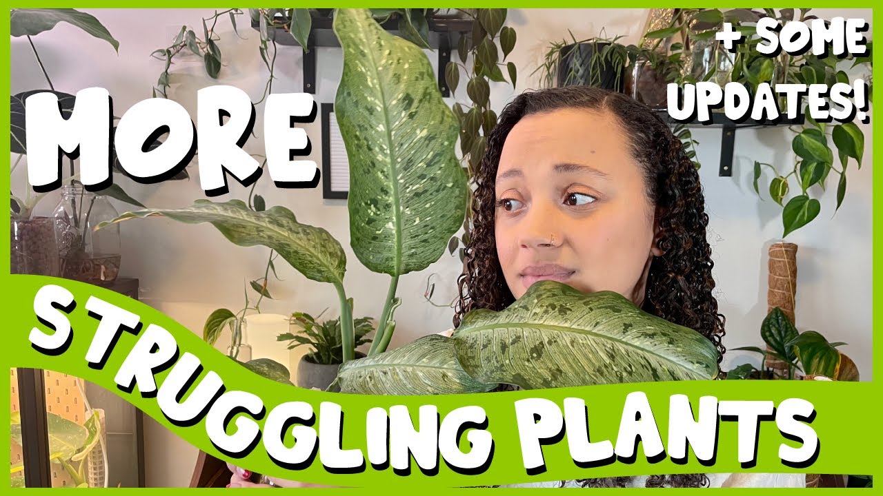 MORE Struggling Plants?! | And Planty Updates 🌱