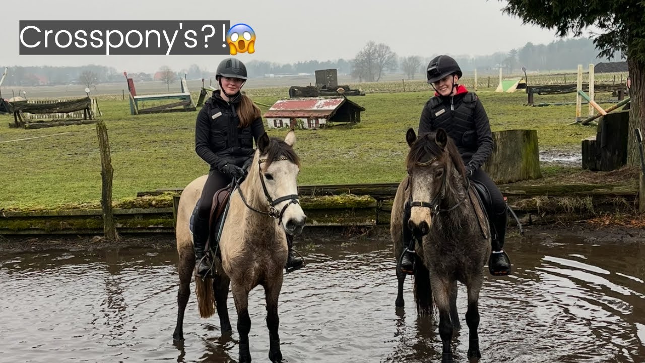 Voor het eerst CROSSEN met 3 JONGE PONY'S! 😱 || Kim Dior