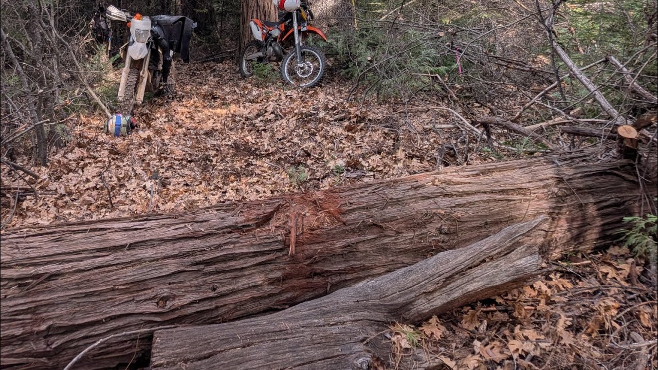 36 inch log jump chasen Sean the Savage 02/06/2026