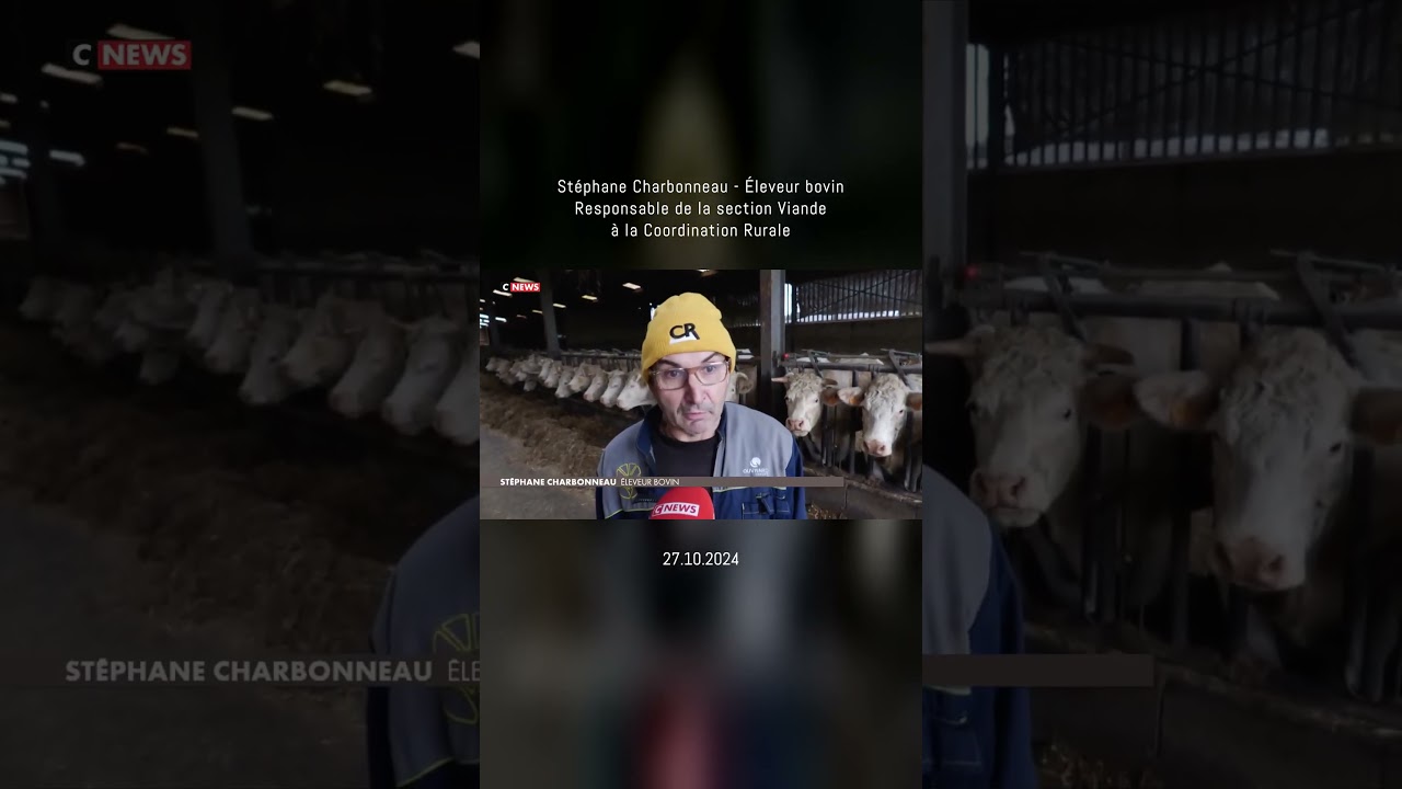 🚜 🇫🇷 Sur un bovin de 400 &agrave; 500kg, on perd 250&euro; &agrave; 300&euro; par animal 🟡⚫️ 27.10.2024 | MonCarnivore 🥩