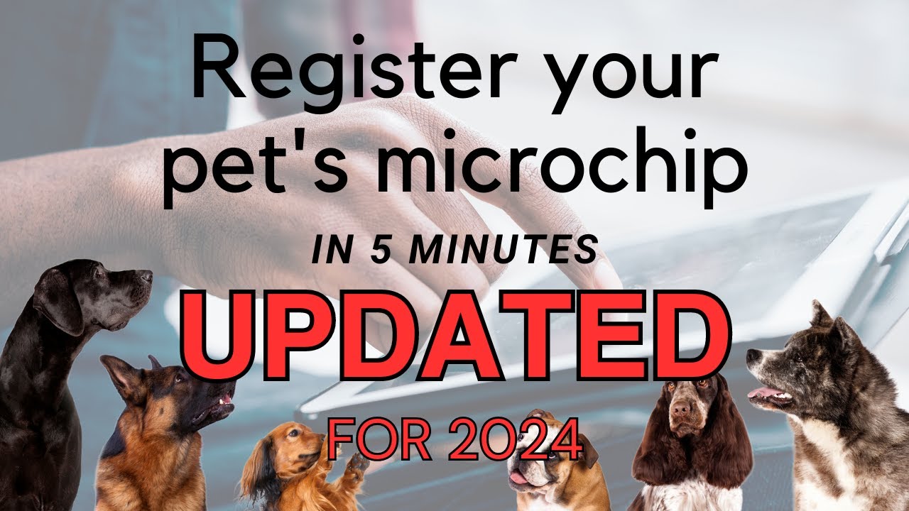 Как зарегистрировать микрочип вашего питомца за 5 минут