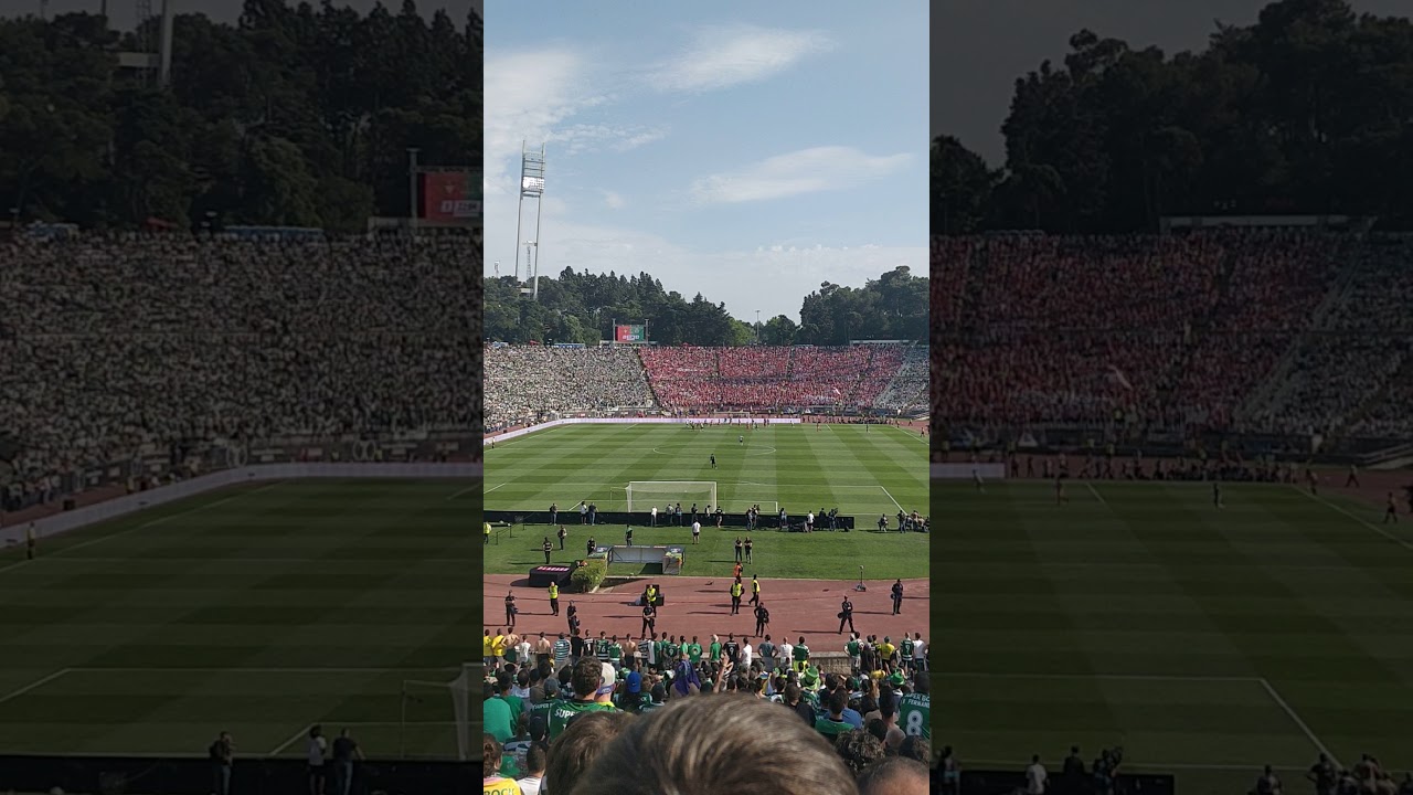 Sporting Clube de Portugal - Desp Aves @ Final da Taca de Portugal, Estadio do Jamor (2018/05/20)