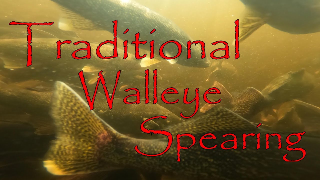 Georgian Bay Traditional Walleye Spearing