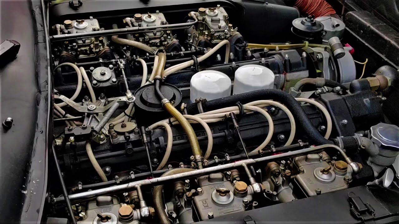 フェラーリ 365 GTC/4 ピニンファリーナ　ラルフ ローレン主催のイベント