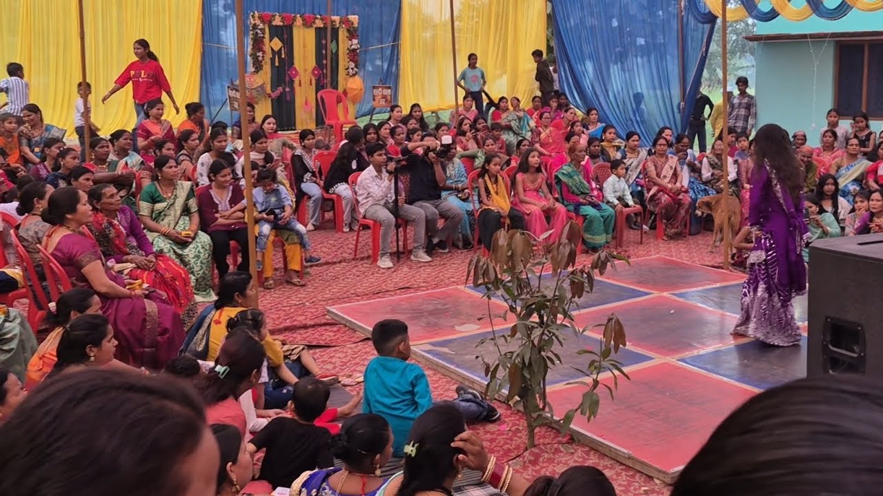 sangeet special vlog........🤗🥰 #dailyvlog #365dayschallenge #sangeetspecial 