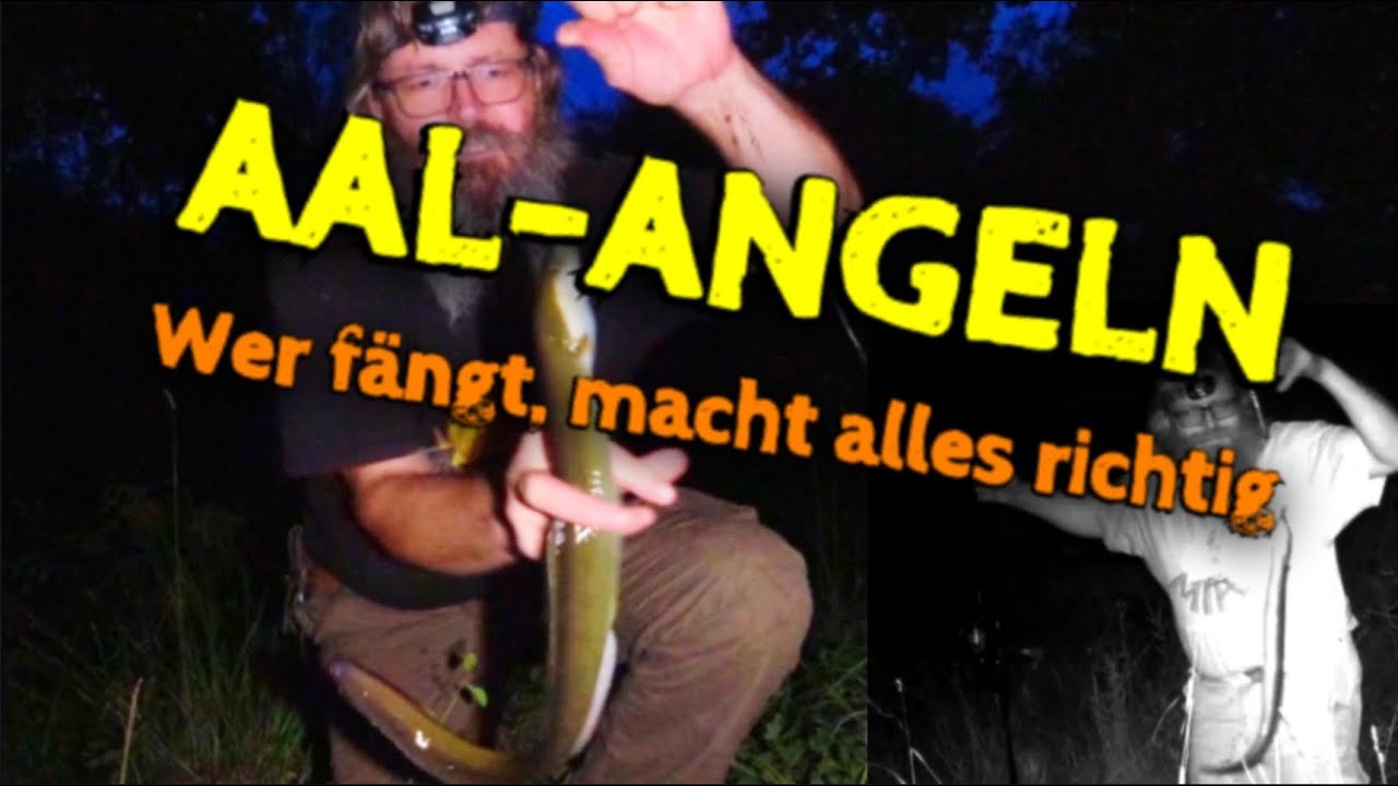 AAL Angeln - Wer fängt macht alles richtig | So klappt's!