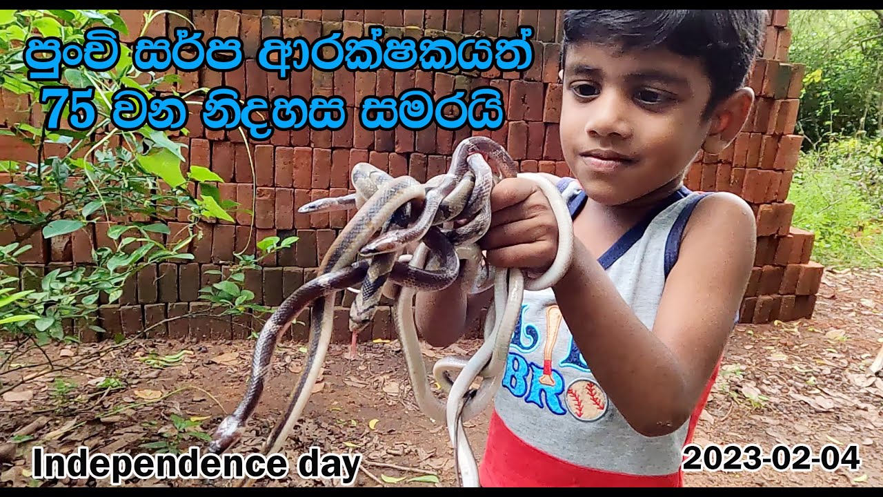 Little Snake Guard is celebrating 75th Independence day