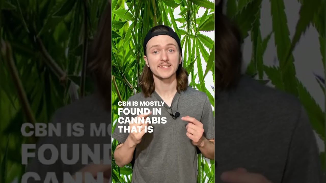 What is CBN?