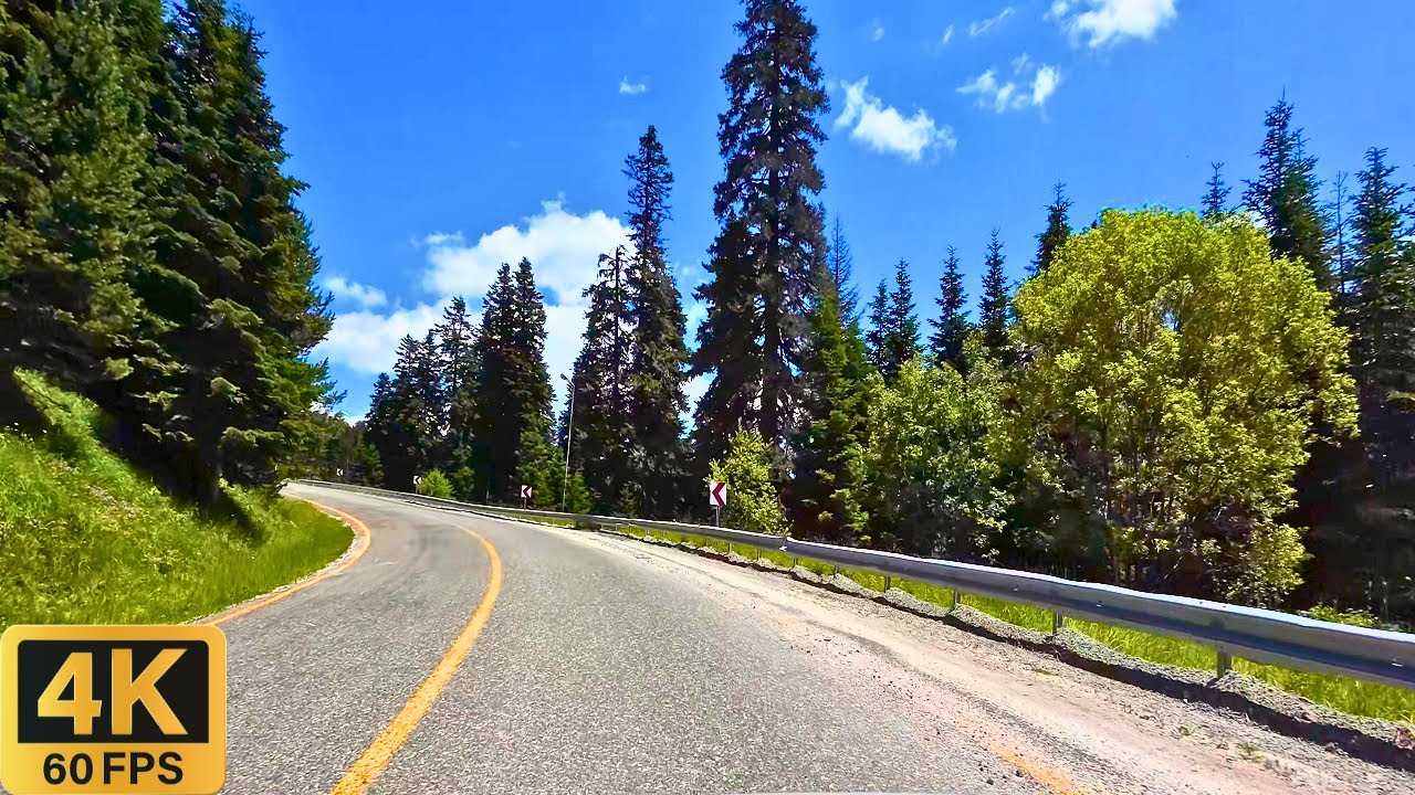 Scenic Drive 4K: Ilgaz Mountain Turkey (Turkiye) (Natural Sound)