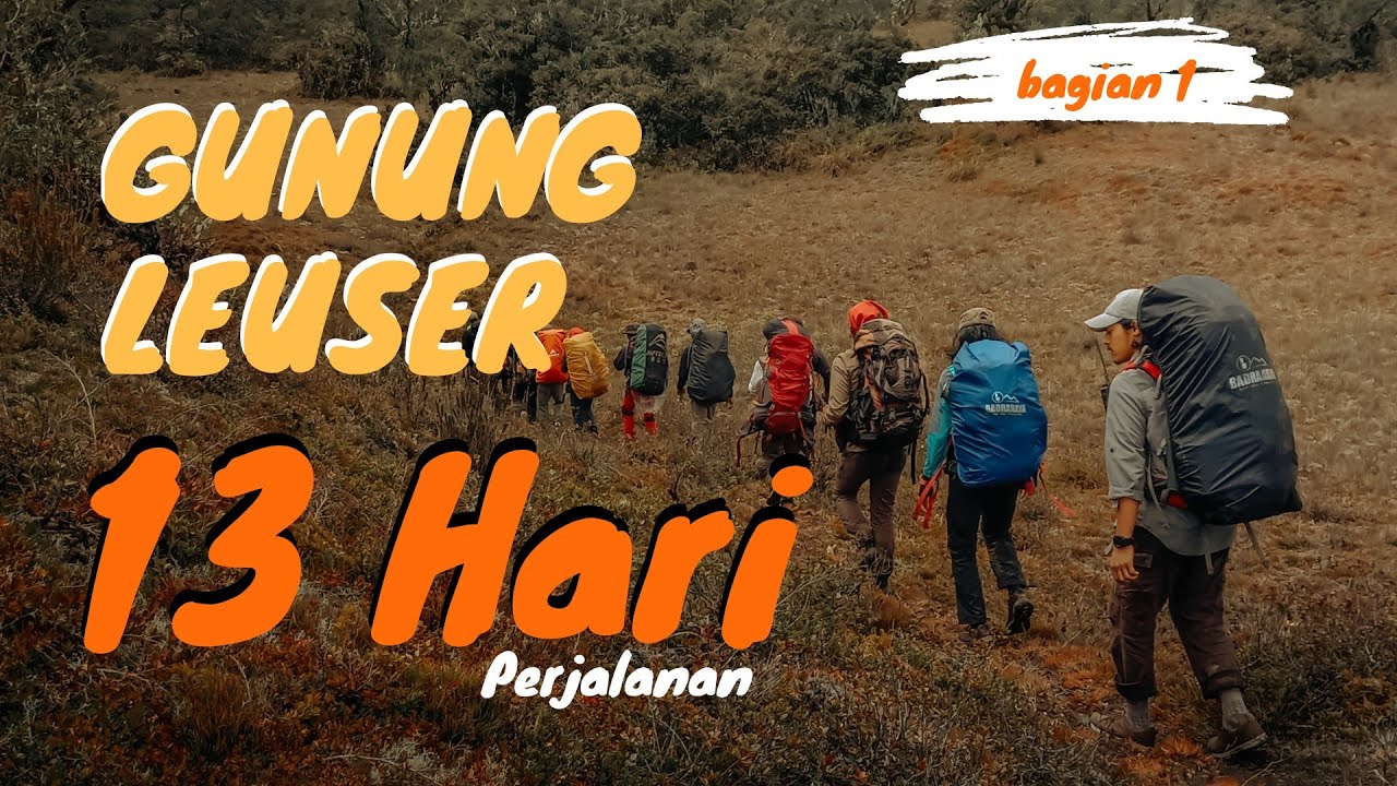 Perjalanan menuju Bungalow Rainforest Lodge || Pendakian Gunung Leuser 2021 || Bagian 1