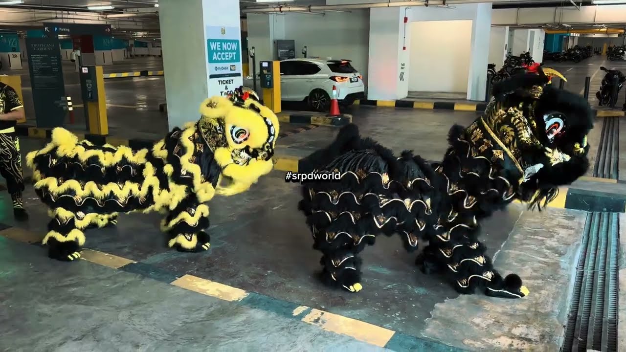 Lion Dance Pray 赛前参拜 @ Tropicana Gardens Mall # #安邦玄龍 #雪蘭莪玄龍 #加影育華 #沙登華體 #雪蘭莪何秋