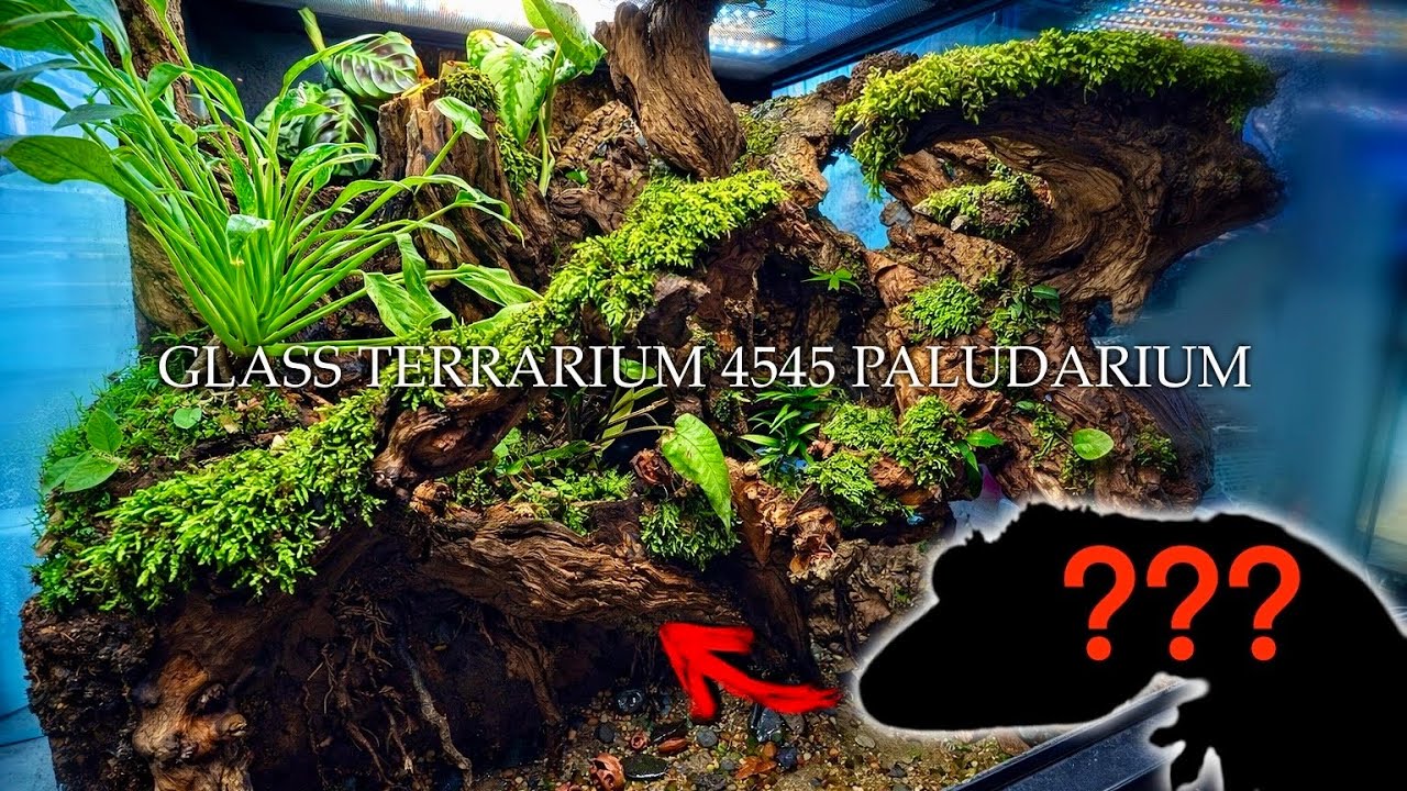 とんでもない構造をしたパルダリウムを作ってみた～GLASS TERRARIUM 4545 パルダリウム～