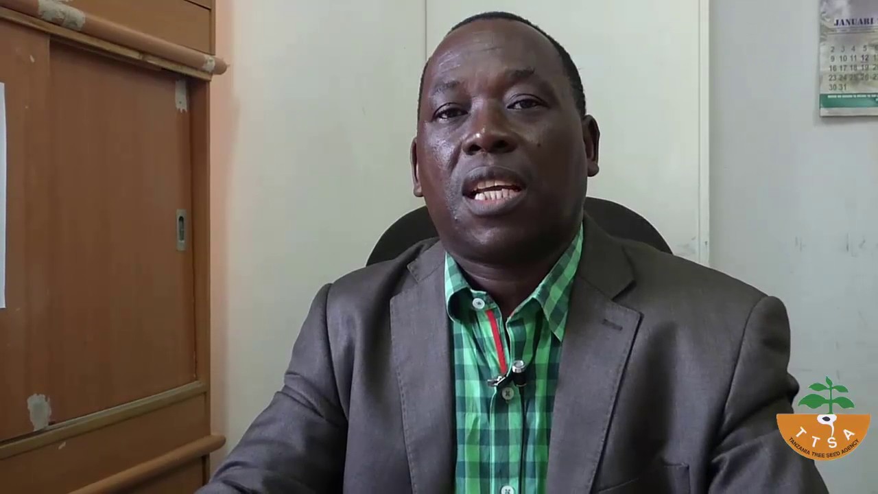 About Tanzania Tree Seed Agency (TTSA)