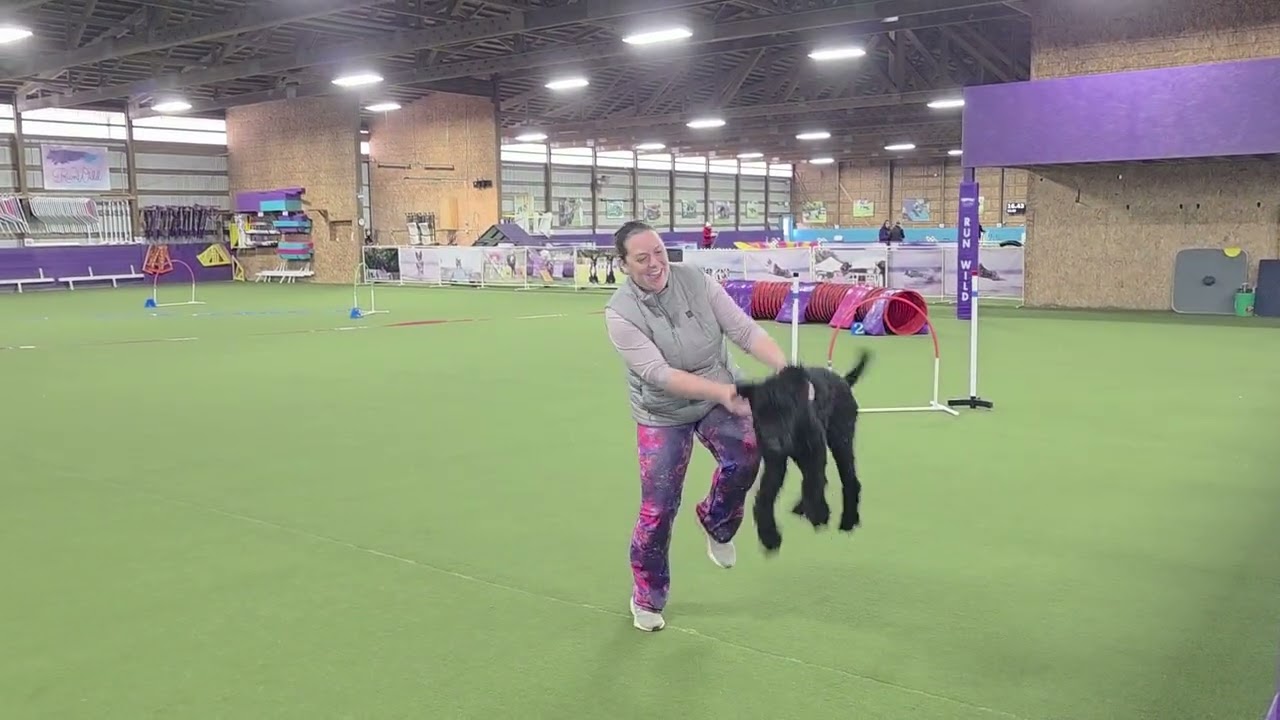 Barney RAT CPE December 2025   Made with Clipchamp