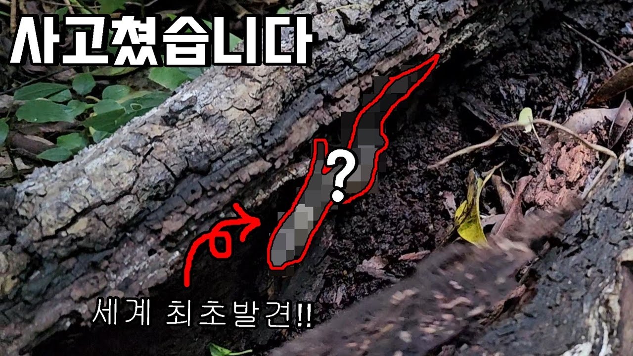 제가 진짜 사고쳤습니다! 세계 최초로 발견한 생물 공개하겠습니다!!