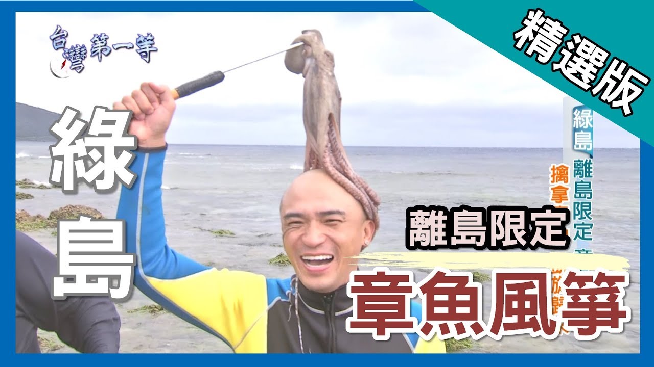 台灣第一等【離島限定 章魚風箏】綠島 _精選版