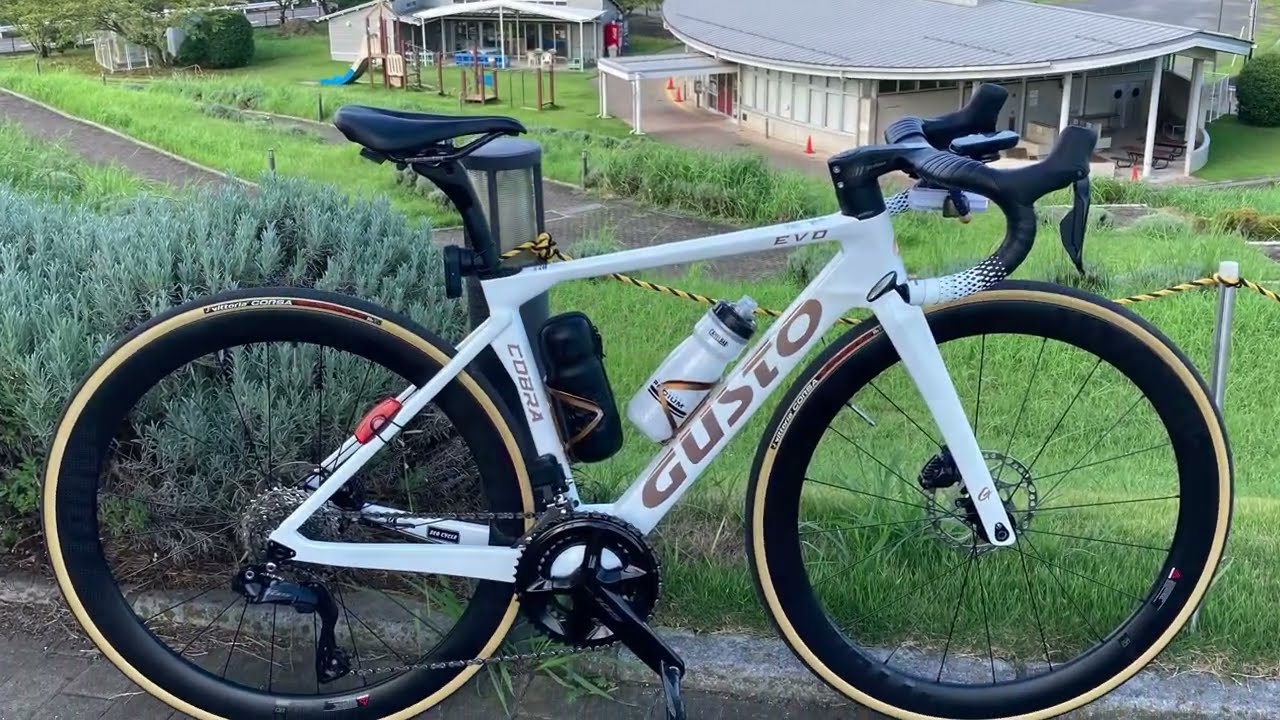 GUSTO COBRA EVO