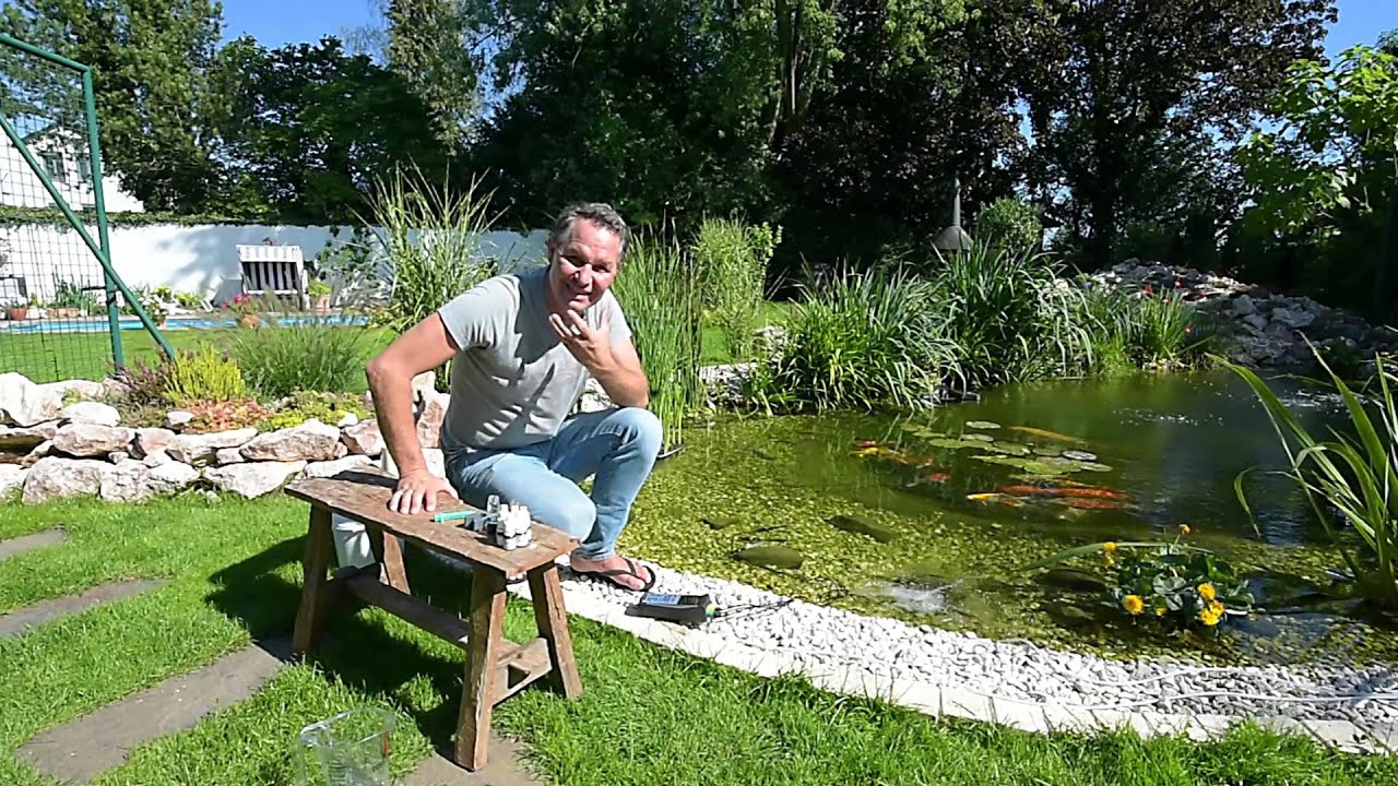 Modern Koi Blog #430 - Zu viel Frischwasser und zu viel Luft