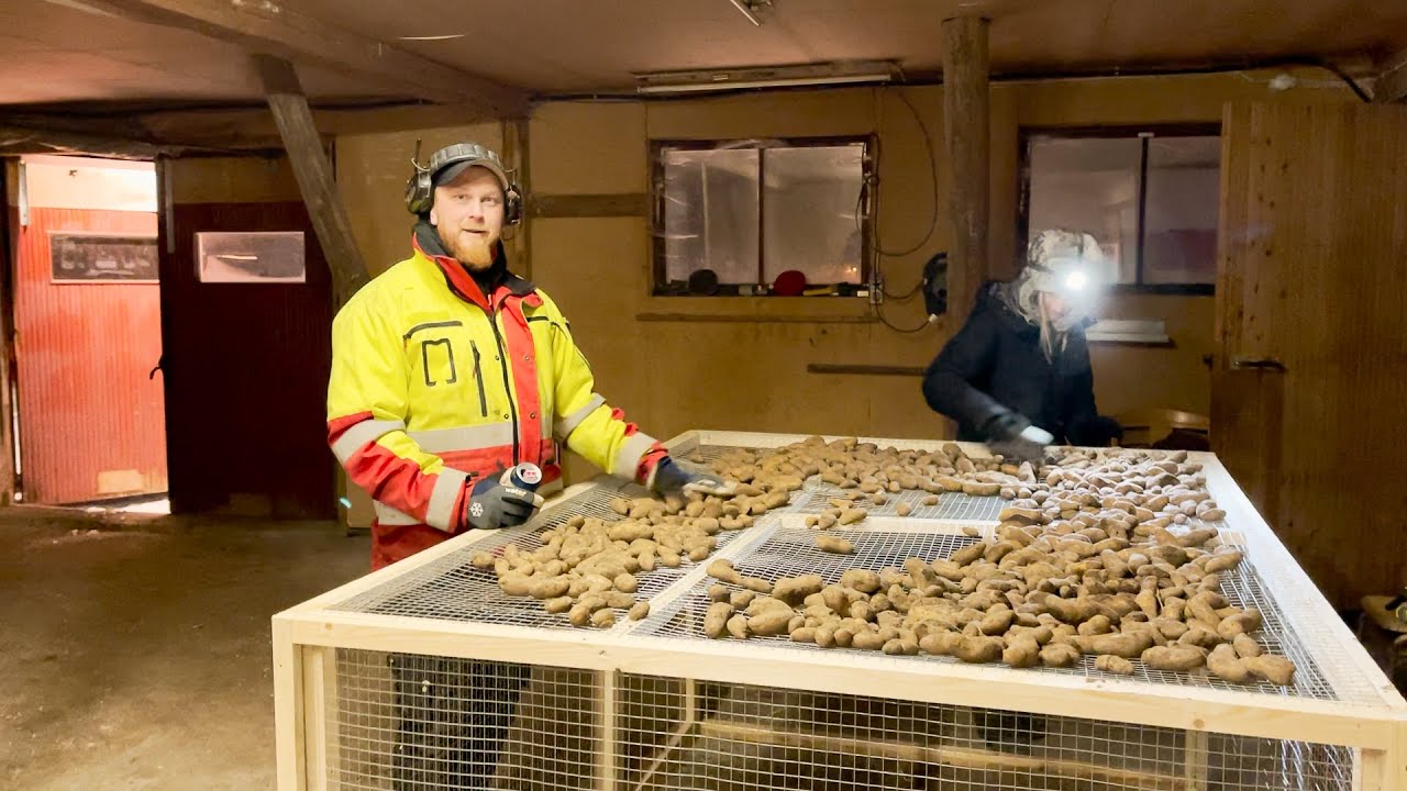 Äntligen riktig vinter!
