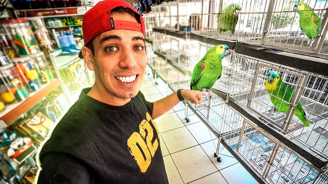 PROCURANDO UM NOVO ANIMAL DE ESTIMAÇÃO