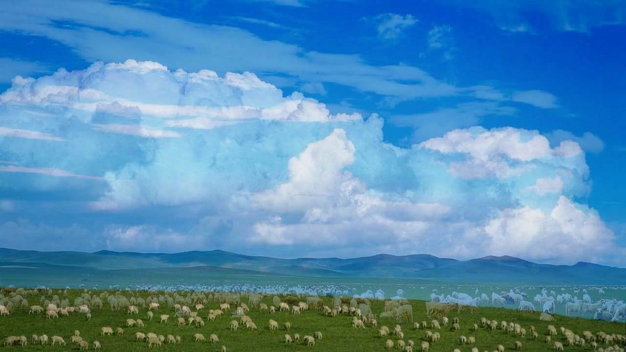 《放羊调》 徐世芳唱•中国民歌