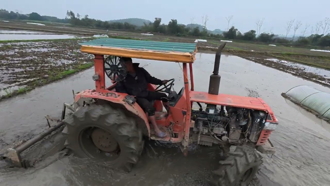 Sới băm nhuyễn với dàn sới nước, tác tơ cubota zl 45 làm cáy gieo  lúa ,.mà cho bà con