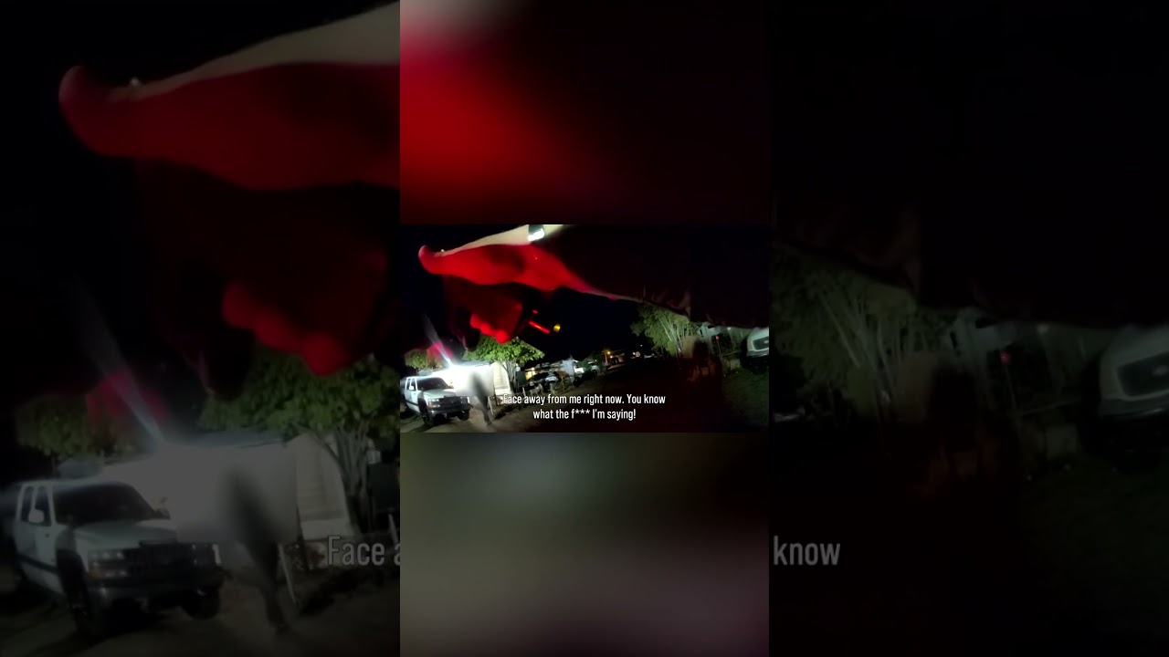 Air Unit Tracks Suspect as He Runs Through Backyards | Desert Law | A&E 