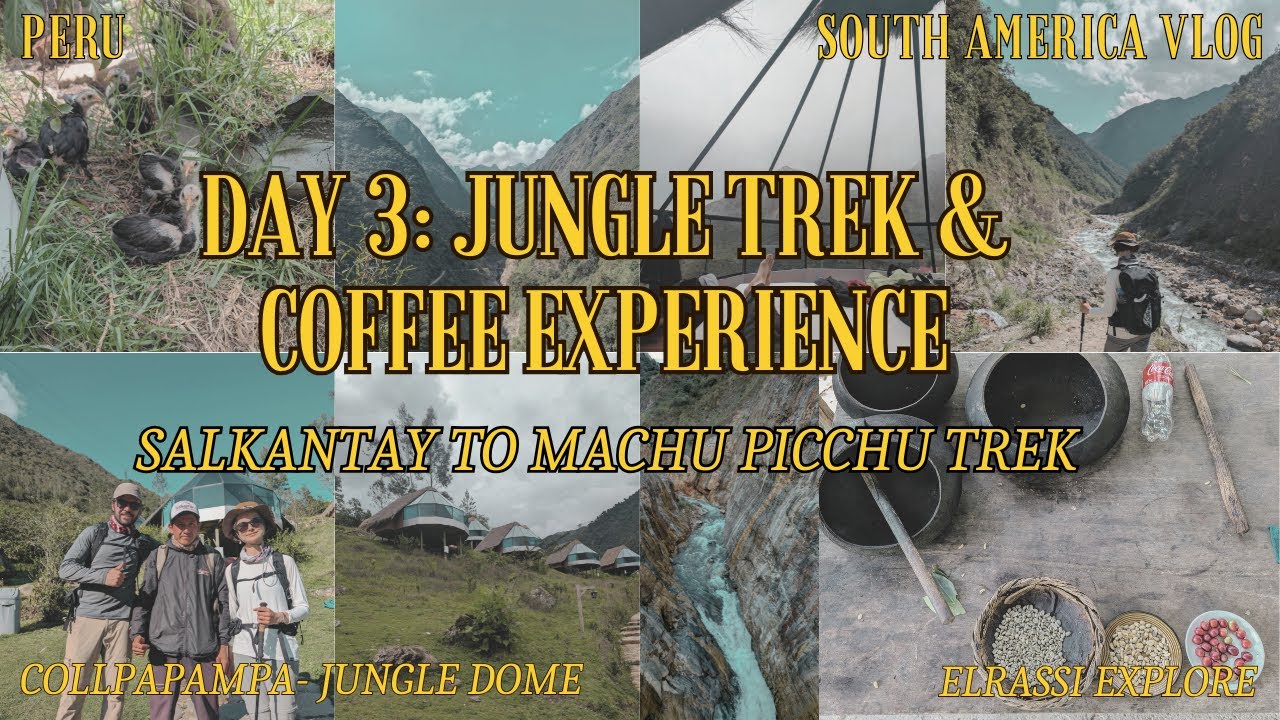 Day 3: Jungle Trek & Coffee Experience | Salkantay Trek to Machu Picchu – South America Vlog