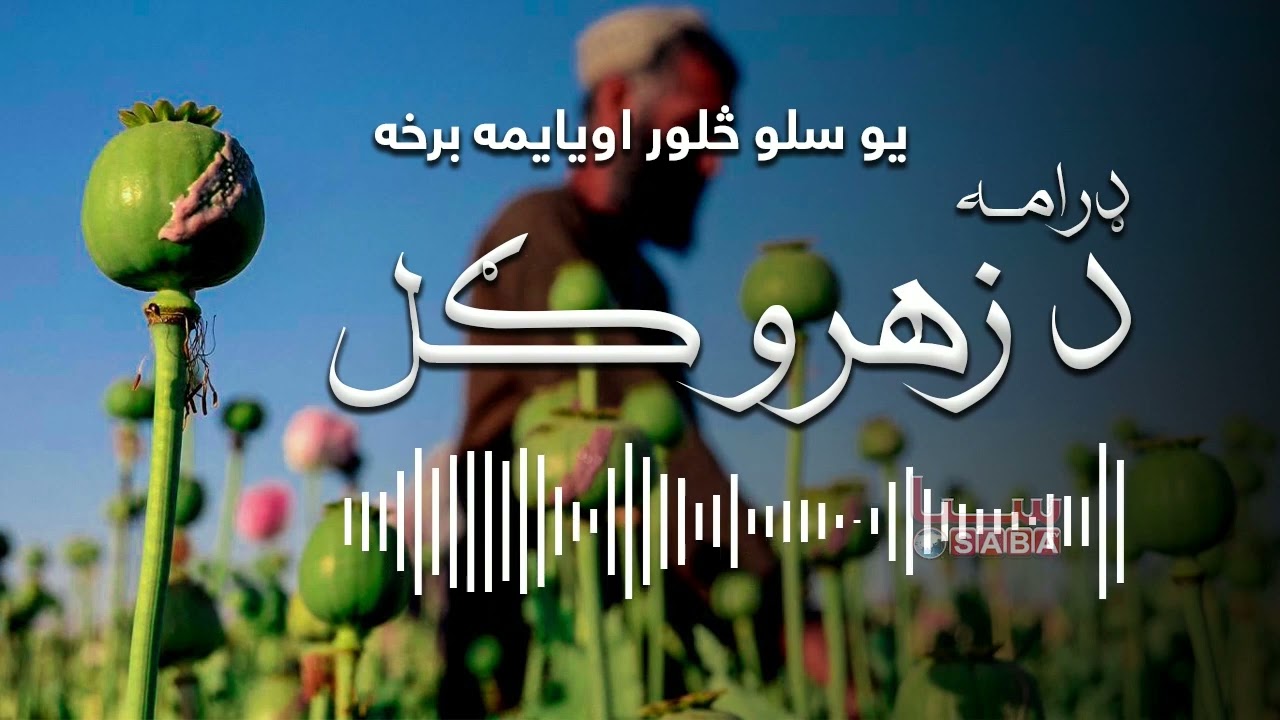 De Zahro Gul - Episode One Hundred Seventy Four | د زهرو ګل - یو سلو څلور اویایمه برخه
