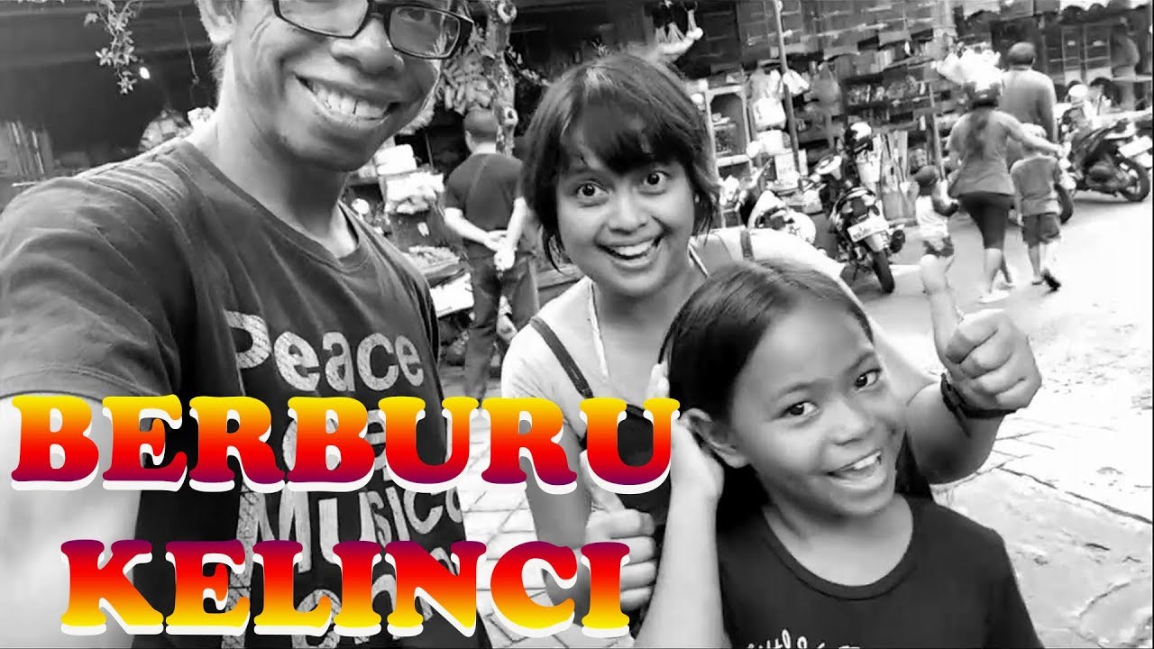 BERBURU KELINCI DI PASAR BURUNG SATRIA BALI | Hunting Rabbit at Bali's Satria Bird Market