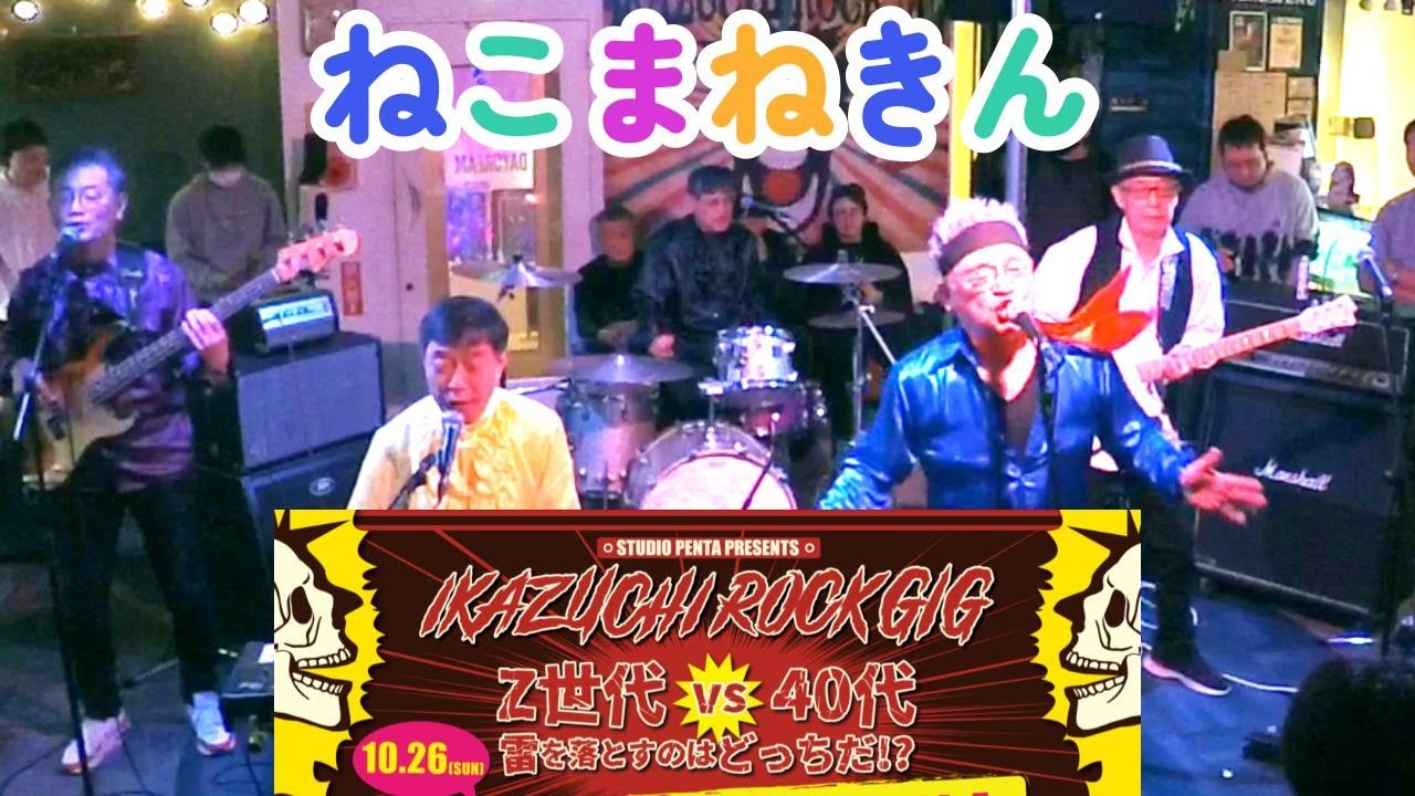 【IKAZUCHI ROCK GIG】ねこまねきん 　  Live at デイドリーム吉祥寺　2025 10 26