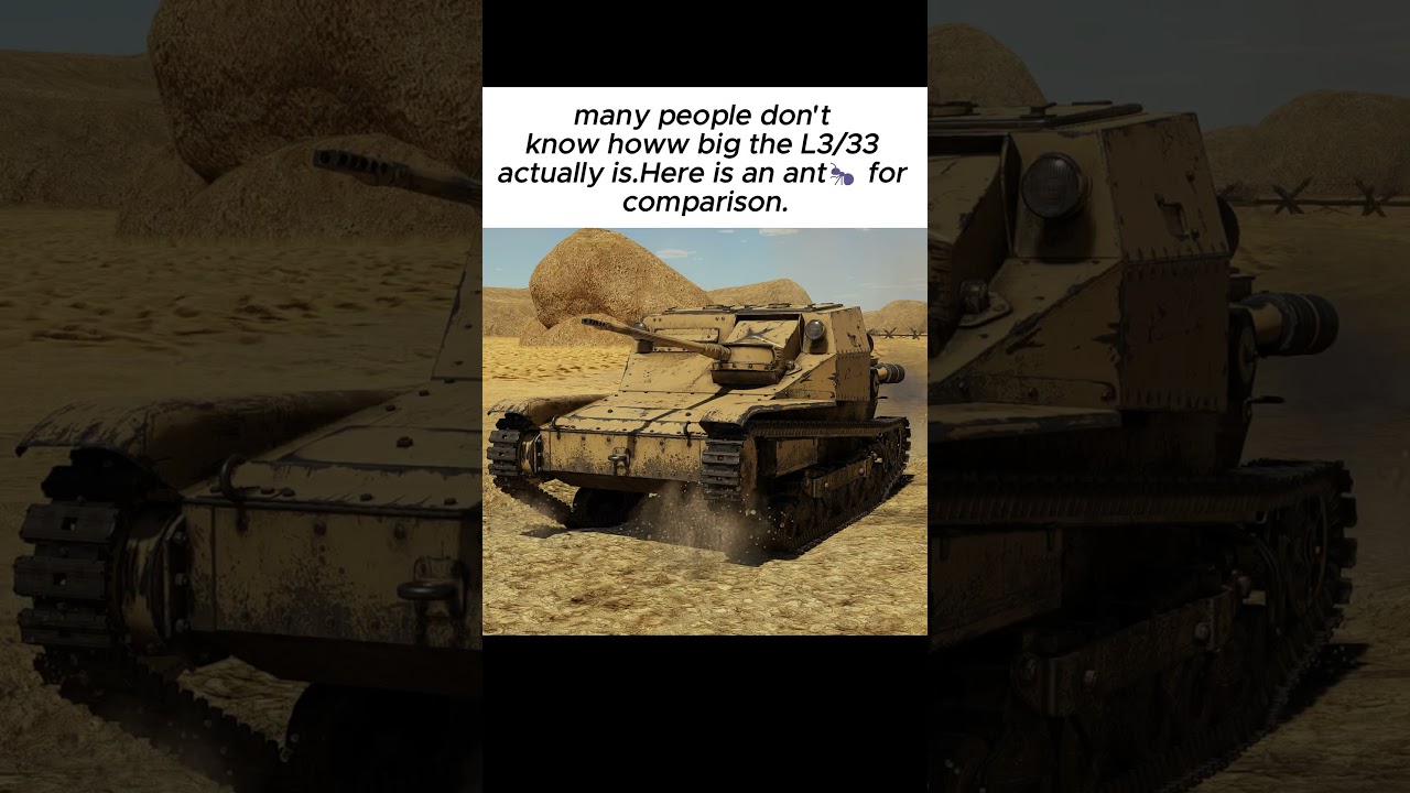 L3/33 real size