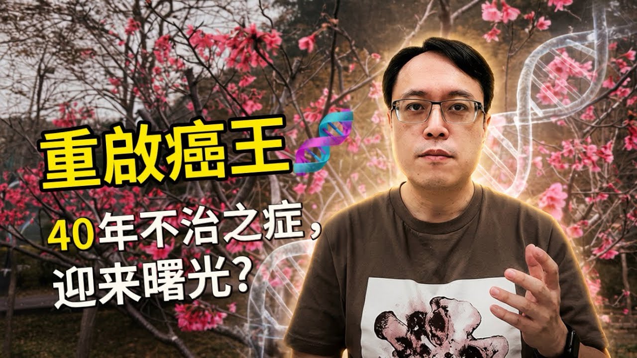 40年無法攻克的「癌症之王」P53，終於出現新藥？NEJM 最新研究解析