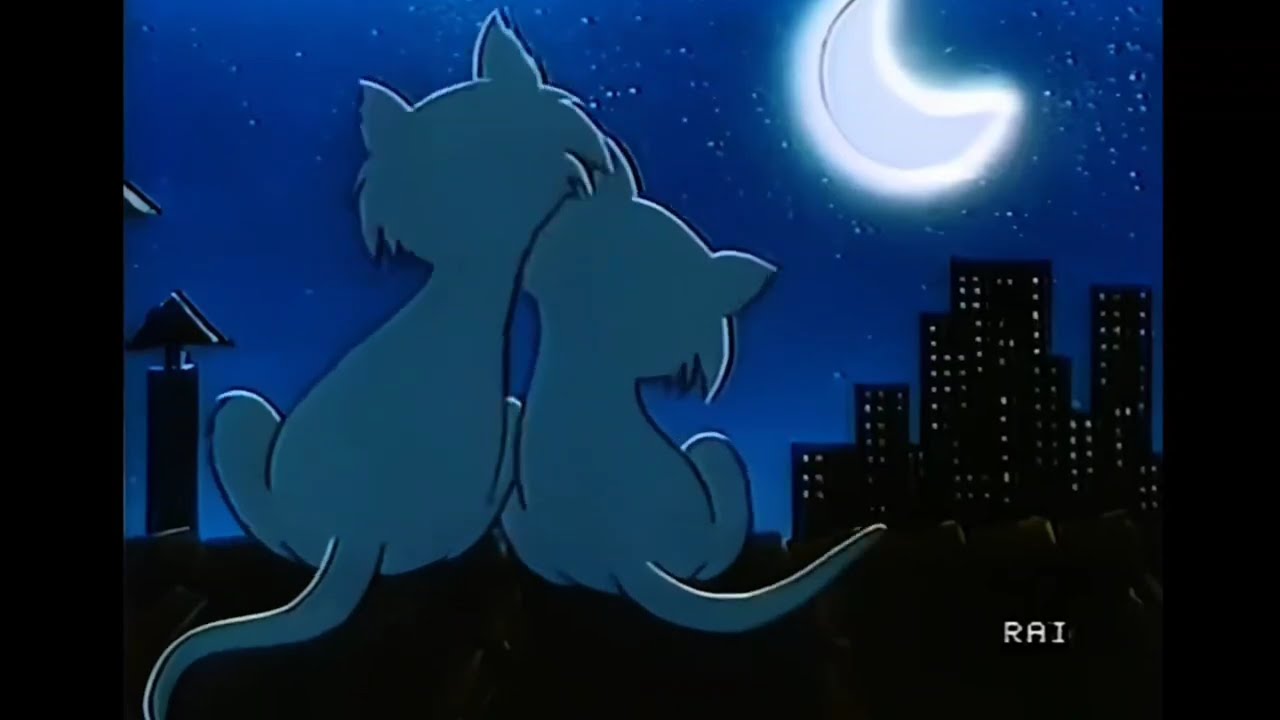 Rai Raccolta I MIGLIORI BUMPER intro outro raiuno raidue raitre raisport etc. 