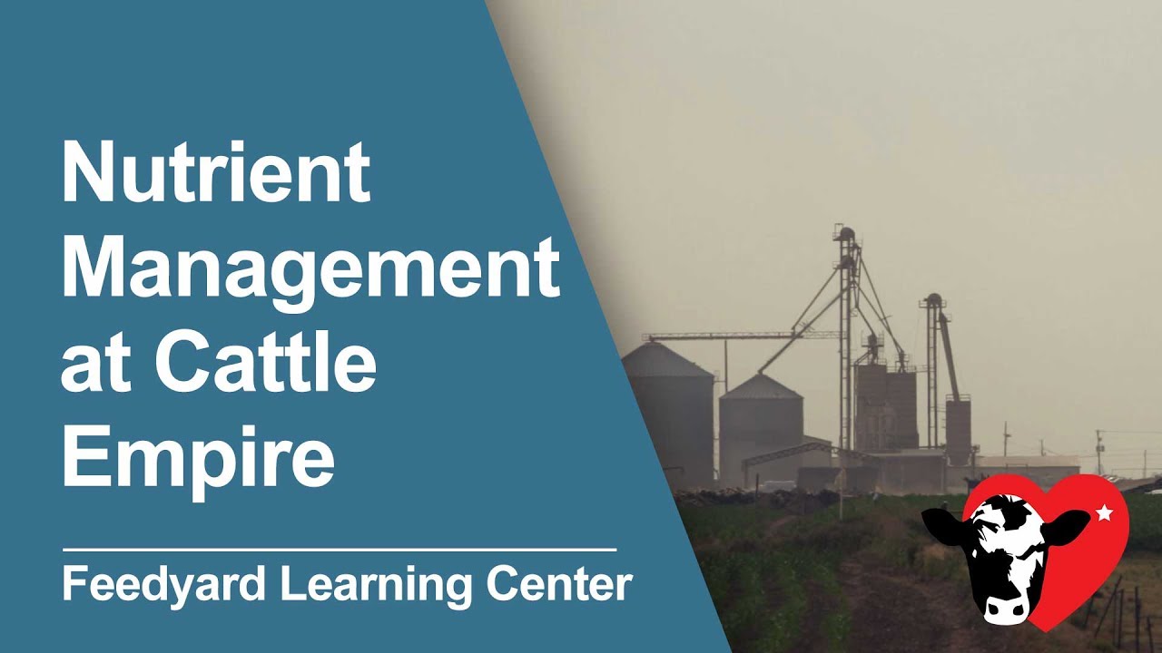 Nutrient Management at Cattle Empire