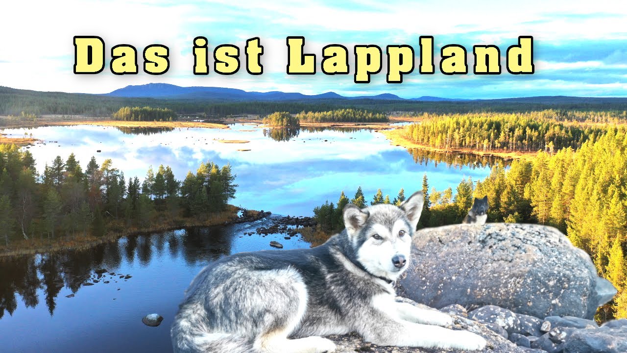 Lappland/Schwedens Wildnis & Übernachtung in einer versteckten Waldhütte