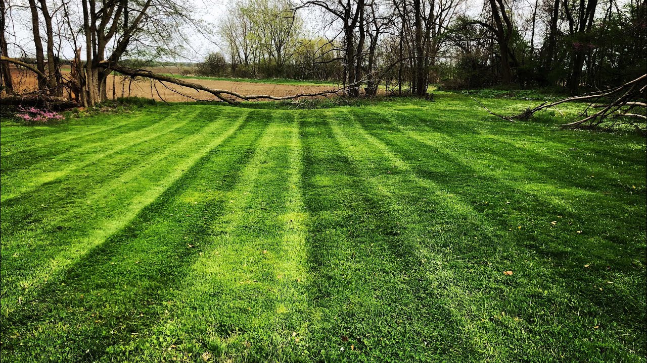 Something is Strange About Our John Deere 661R Stand On Mower