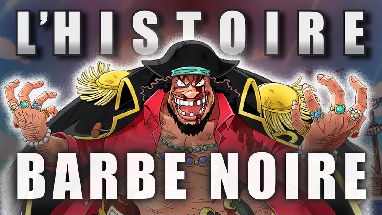 L'HISTOIRE DE BARBE NOIRE : JE VOUS R&Eacute;V&Eacute;LE TOUT