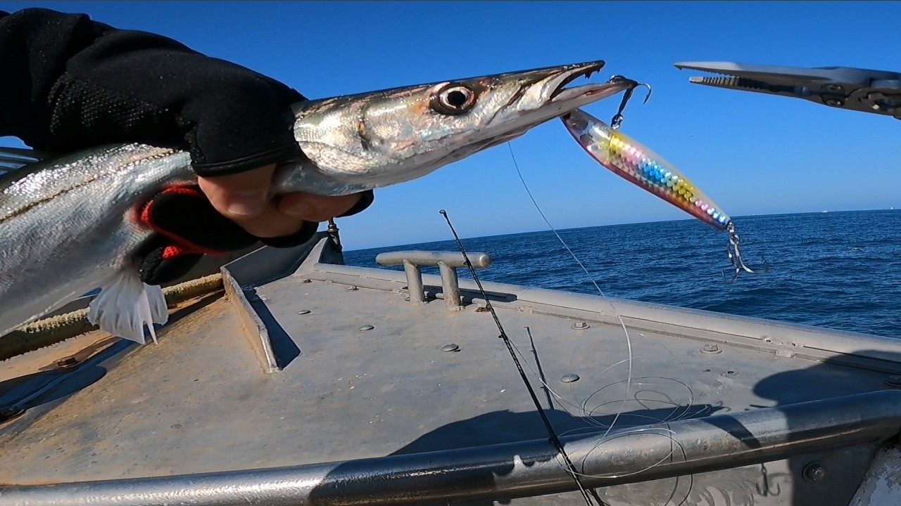 A Isca Secreta Para Fisgar Barracudas Em Alto-Mar Que Ninguém conta! [Pesca em Alto-Mar]