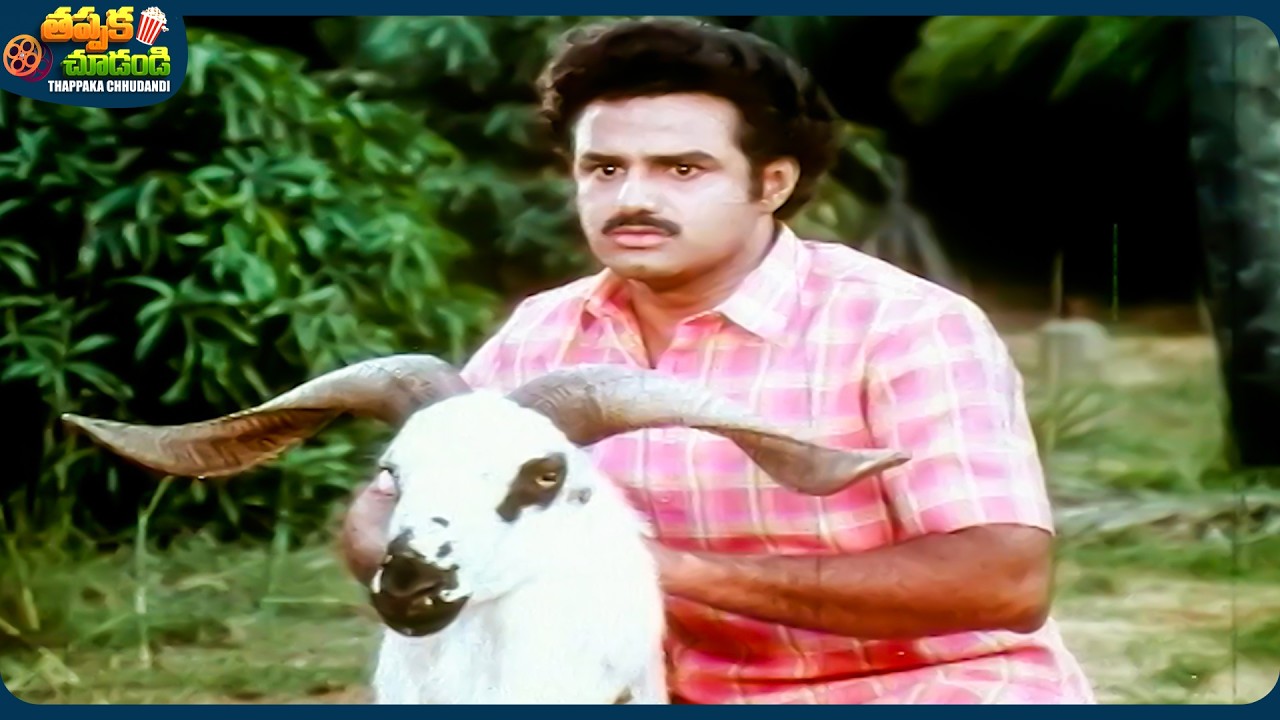 Nandamuri Balakrishna And Sudhakar Telugu SuperHit Movie Scene | @ThappakaChudandi9