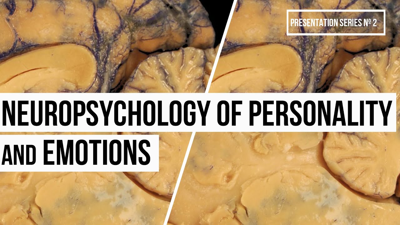 Neuropsychology of Personality and Emotion (Video Nº13, Series #2)